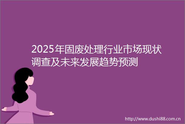 2025年固废处理行业市场现状调查及未来发展趋势预测