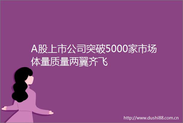 A股上市公司突破5000家市场体量质量两翼齐飞