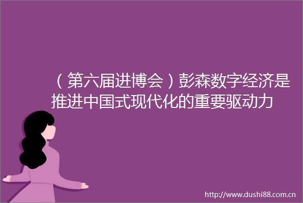 （第六届进博会）彭森数字经济是推进式现代化的重要驱动力