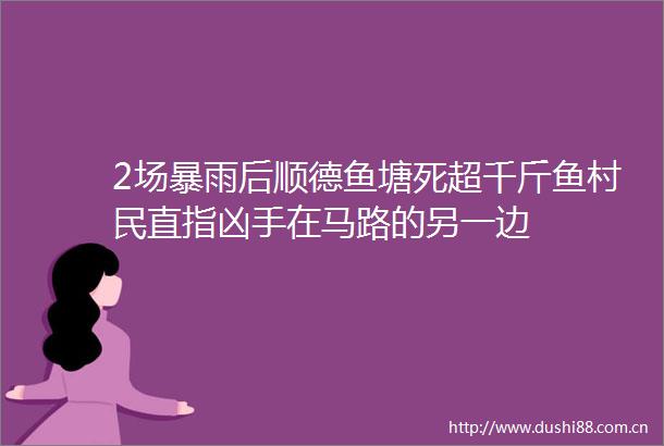 2场暴雨后顺德鱼塘死超千斤鱼村民直指凶手在马路的另一边