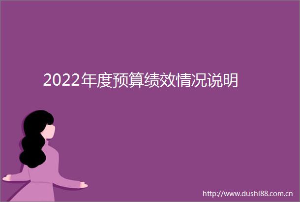 2022年度预算绩效情况说明