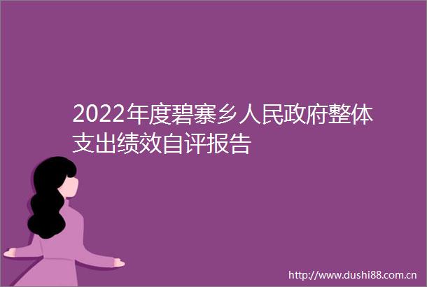 2022年度碧寨乡整体支出绩效自评报告