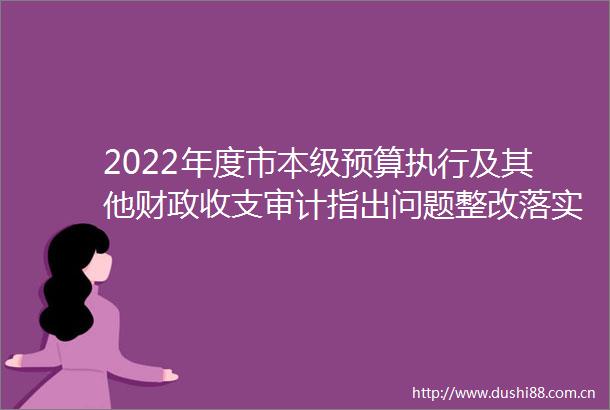 2022年度市本级预算执行及其他财政收支审计指出问题整改落实情况的公告