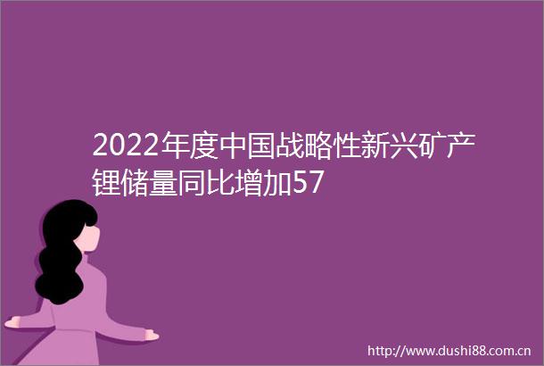 2022年度战略性新兴矿产锂储量同比增加57