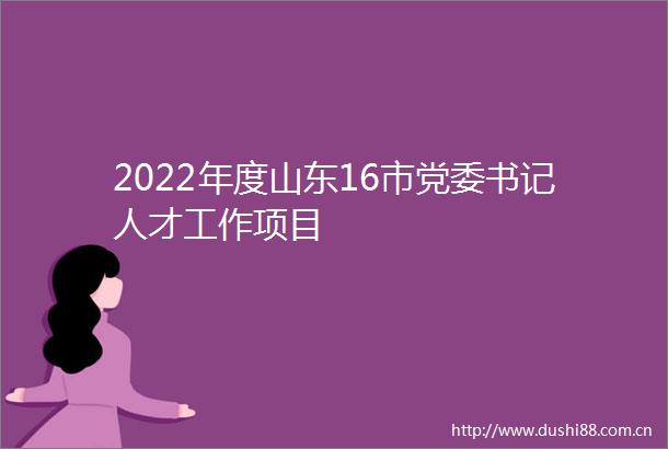 2022年度山东16市党委书记人才工作项目