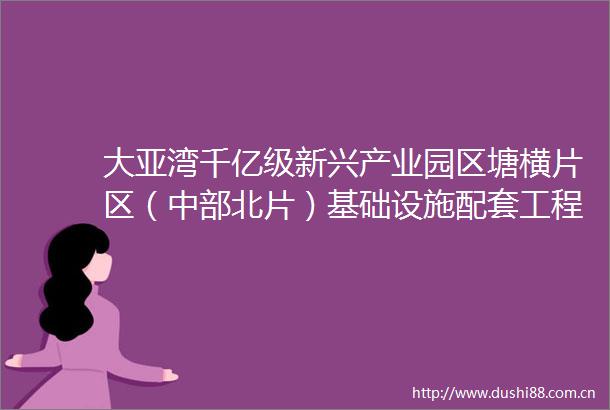 大亚湾千亿级新兴产业园区塘横片区（中部北片）基础设施配套工程勘察及设计勘察设计招标公告