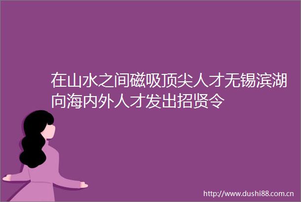 在山水之间磁吸顶尖人才无锡滨湖向海内外人才发出招贤令