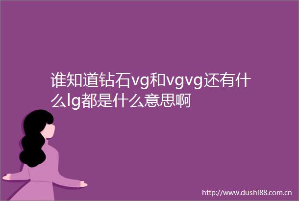 谁知道钻石vg和vgvg还有什么lg都是什么意思啊