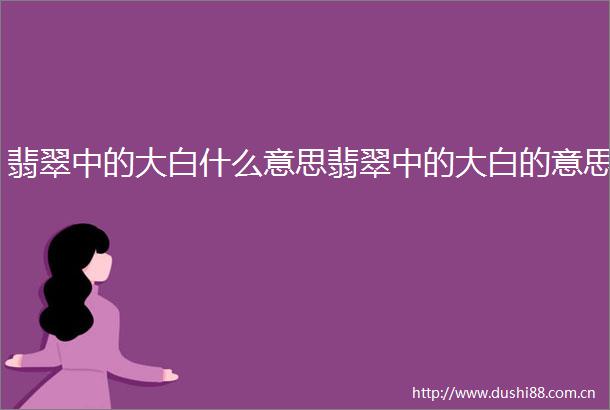 翡翠中的大白什么意思翡翠中的大白的意思
