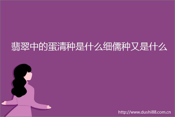 翡翠中的蛋清种是什么细儒种又是什么