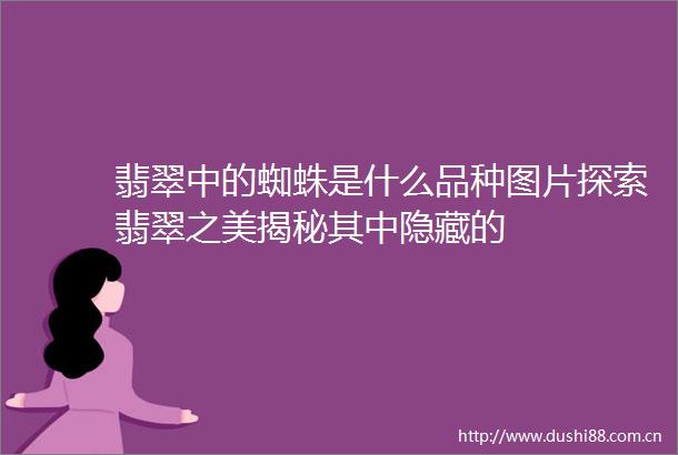 翡翠中的蜘蛛是什么品种图片探索翡翠之美揭秘其中隐藏的