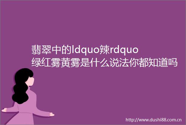 翡翠中的ldquo辣rdquo绿红雾黄雾是什么说法你都知道吗