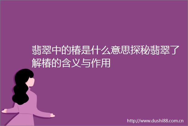 翡翠中的椿是什么意思探秘翡翠了解椿的含义与作用