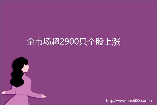 全市场超2900只个股上涨