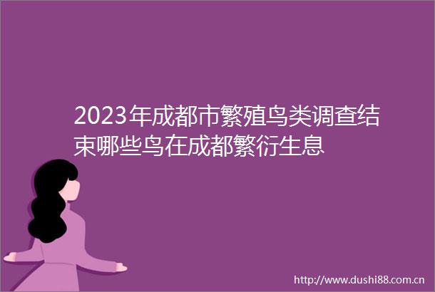 2023年成都市繁殖鸟类调查结束哪些鸟在成都繁衍生息