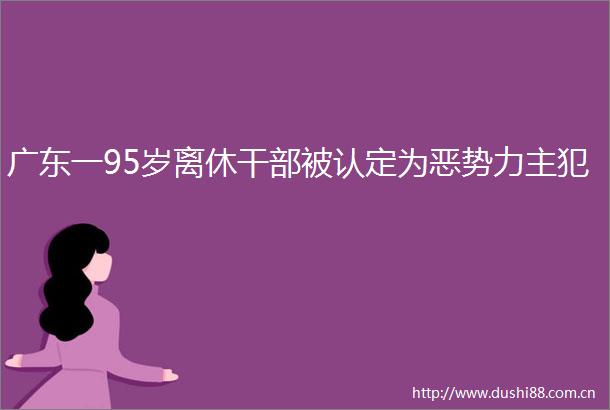 广东一95岁离休被认定为恶势力主犯