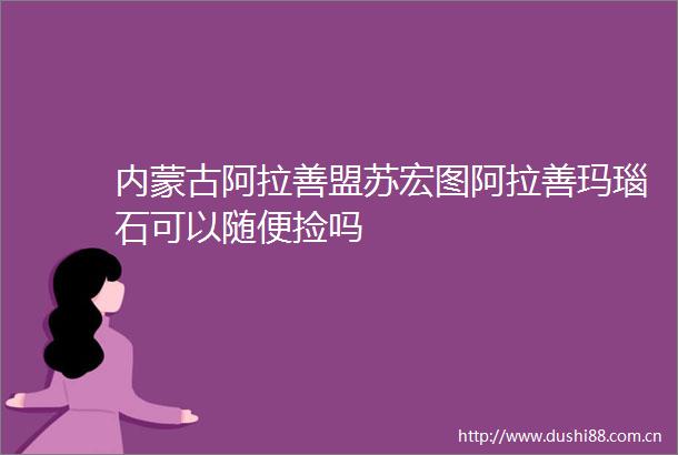 内蒙古阿拉善盟苏宏图阿拉善玛瑙石可以随便捡吗