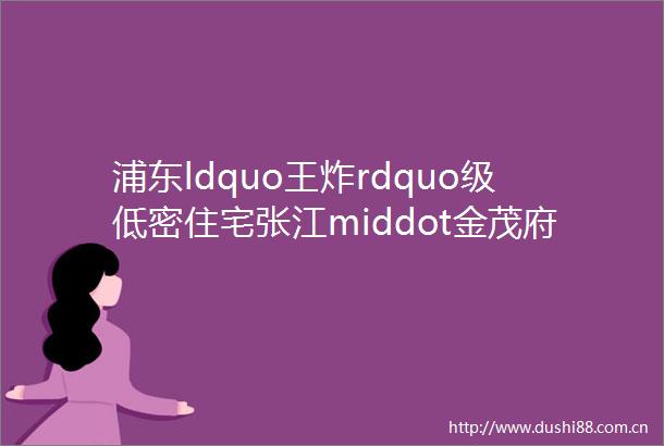 浦东ldquo王炸rdquo级低密住宅张江middot金茂府将推建面约93217㎡洋房amp叠墅臻席在售