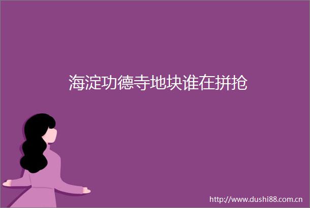 海淀功德寺地块谁在拼抢