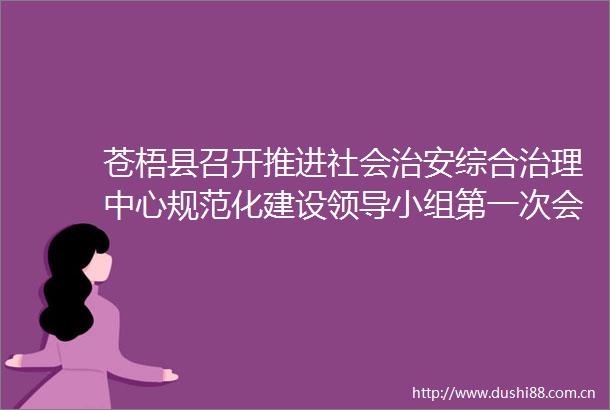 苍梧县召开推进社会治安综合治理中心规范化建设小组第一次会议