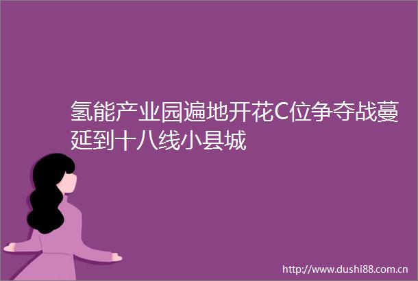 氢能产业园遍地开花C位争夺战蔓延到十八线小县城