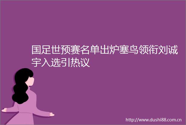 国足世预赛名单出炉塞鸟领衔刘诚宇入选引热议