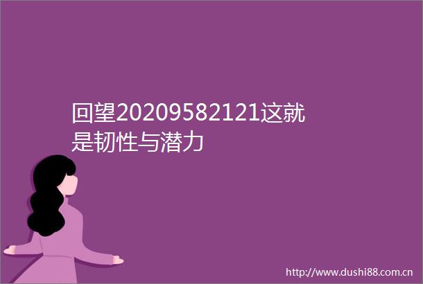 回望20209582121这就是韧性与潜力