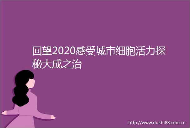 回望2020感受城市细胞活力探秘大成之治