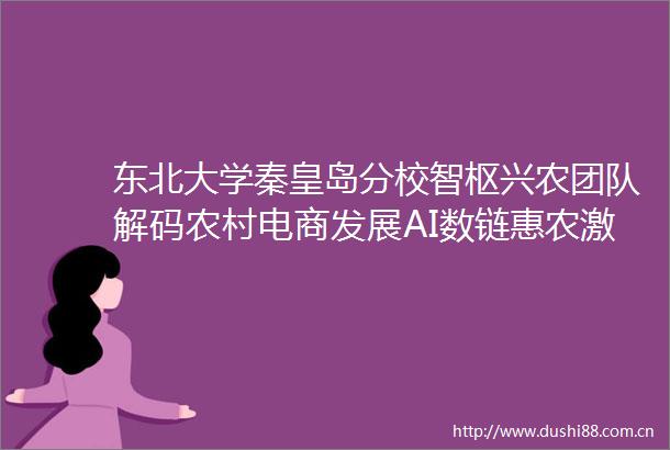 东北大学秦皇岛分校智枢兴农团队解码农村电商发展AI数链惠农激活新生态数字引擎奏响变奏曲