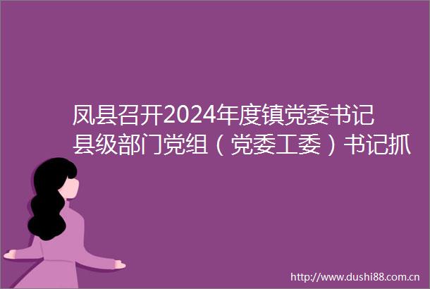 凤县召开2024年度镇党委书记县级部门党组（党委工委）书记抓基层党建工作述职评议考核会议