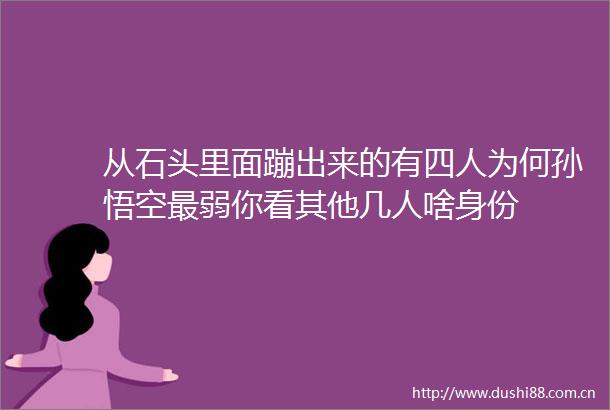 从石头里面蹦出来的有四人为何孙悟空最弱你看其他几人啥身份