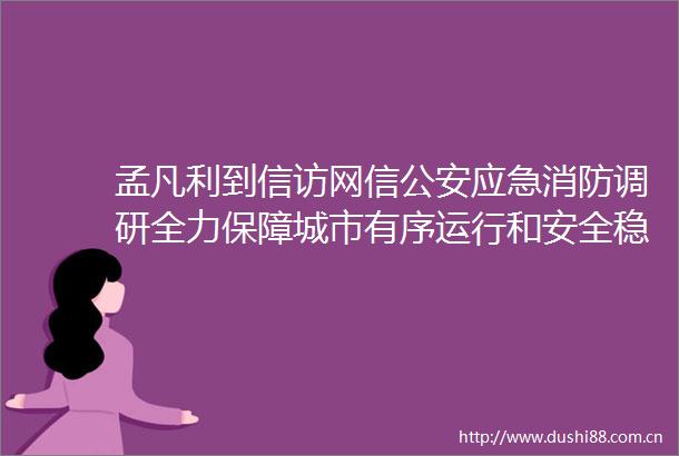 孟凡利到网信应急消防调研全力保障城市有序运行和安全稳定确保市民群众度过欢乐平安祥和的节日