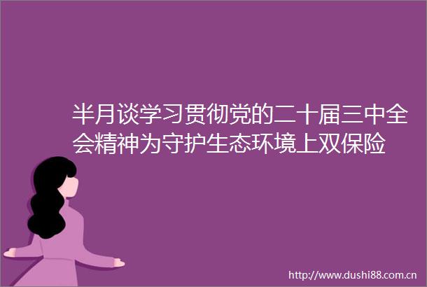 半月谈学习贯彻党的二十届三中全会精神为守护生态环境上双保险