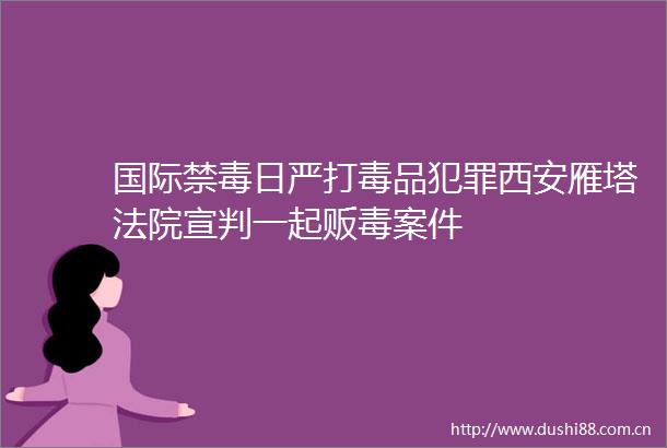 国际禁毒日严打毒品西安雁塔宣判一起贩毒案件