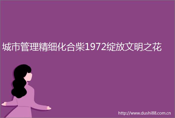 城市管理精细化合柴1972绽放文明之花
