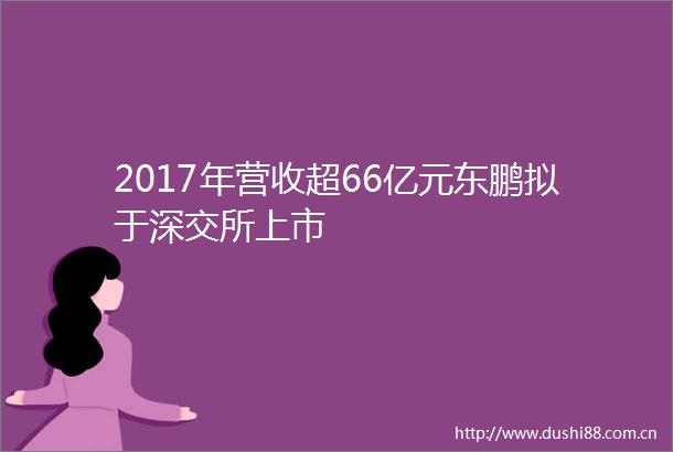 2017年营收超66亿元东鹏拟于深交所上市