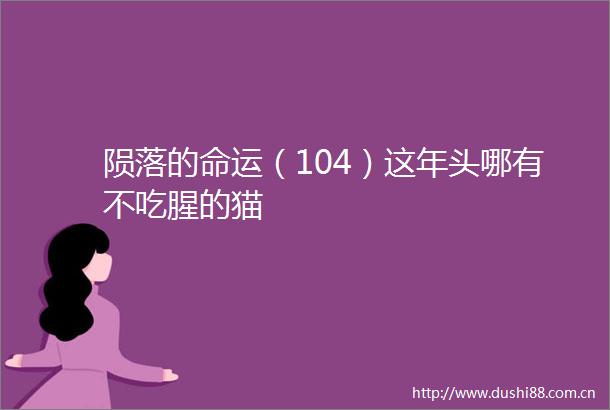 陨落的命运（104）这年头哪有不吃腥的猫
