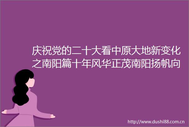 庆祝党的二十大看中原大地新变化之南阳篇十年风华正茂南阳扬帆向未来