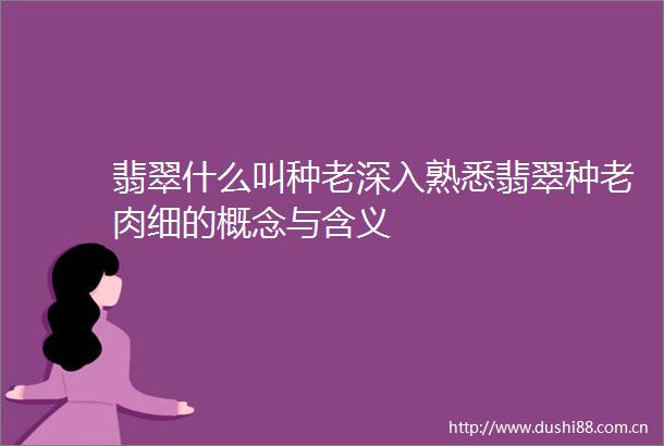 翡翠什么叫种老深入熟悉翡翠种老肉细的概念与含义
