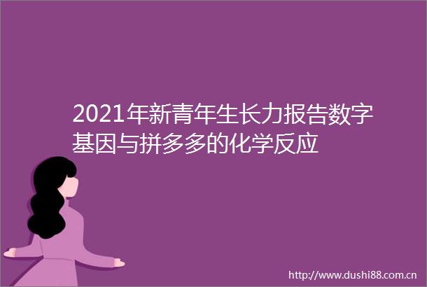 2021年新青年生长力报告数字基因与拼多多的化学反应