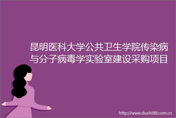 昆明医科大学公共卫生学院传染病与分子病毒学实验室建设采购项目公开招标公告