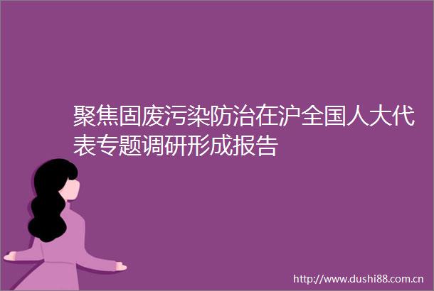 聚焦固废污染防治在沪全国人大代表专题调研形成报告