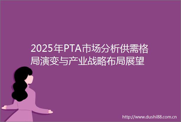 2025年PTA市场分析供需格局演变与产业战略布局展望