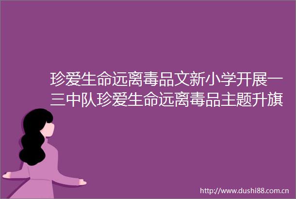 珍爱生命远离毒品文新小学开展一三中队珍爱生命远离毒品主题升旗仪式