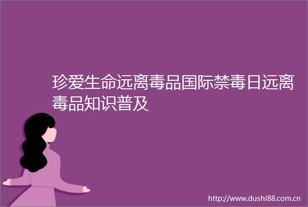 珍爱生命远离毒品国际禁毒日远离毒品知识普及
