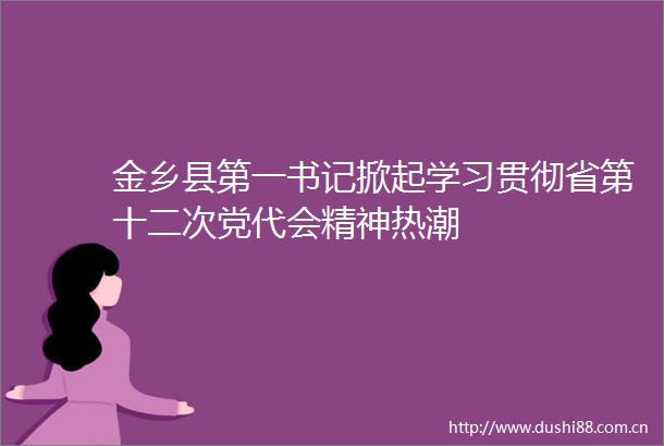金乡县第一书记掀起学习贯彻省第十二次党代会精神热潮