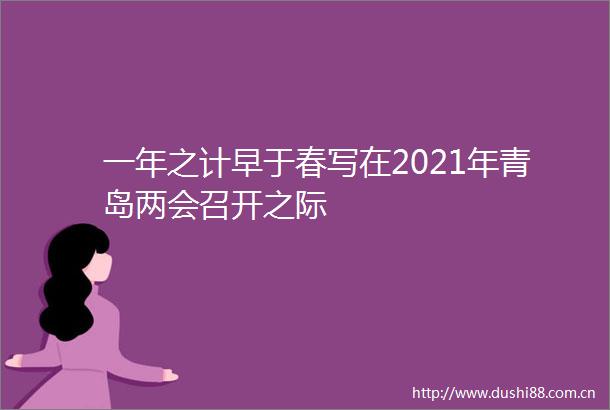 一年之计早于春写在2021年青岛两会召开之际