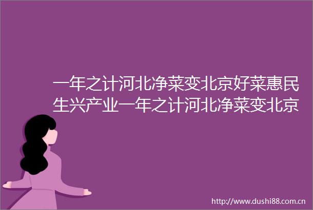 一年之计河北净菜变北京好菜惠民生兴产业一年之计河北净菜变北京好菜惠民生兴产业