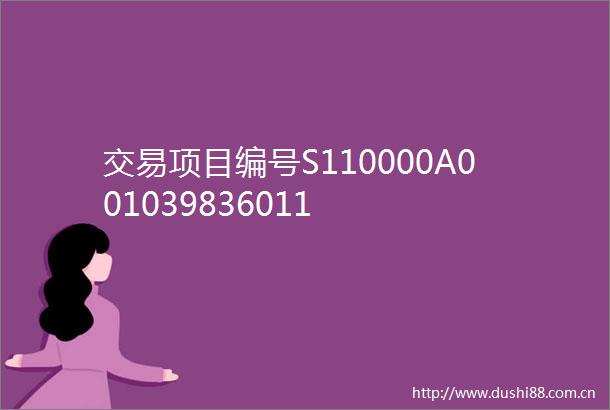 交易项目编号S110000A001039836011
