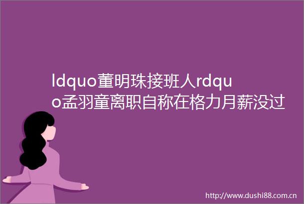 ldquo董明珠接班人rdquo孟羽童离职自称在格力月薪没过万